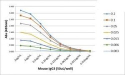 Invitrogen Rabbit anti-Mouse IgG3 Recombinant Secondary Antibody, Biotin