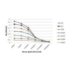 Invitrogen Rabbit anti-Mouse IgG2b Recombinant Secondary Antibody, Biotin