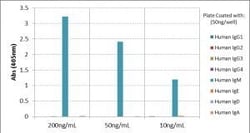 Invitrogen Rabbit anti-Human IgM Recombinant Secondary Antibody, Biotin