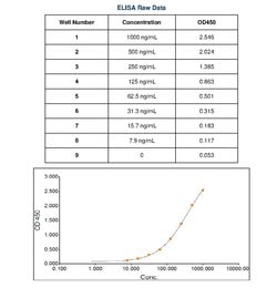 Invitrogen Goat anti-Human Lambda Light Chain Secondary Antibody 1 mg;