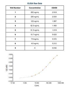 Invitrogen™ Rabbit anti-Human IgG (H+L) Secondary Antibody