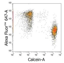 Alpaca anti-Mouse IgG1 Nano (VHH) Recombinant Secondary Antibody, Alexa