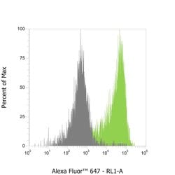 Alpaca anti-Mouse IgG1 Nano (VHH) Recombinant Secondary Antibody, Alexa