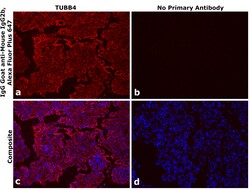 Invitrogen Goat anti-Mouse IgG2b Recombinant Secondary Antibody, Alexa Fluor Plus 647 250 &mu;L | Buy Online | Invitrogen&trade; | Fisher Scientific