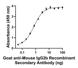 Invitrogen Goat anti-Mouse IgG2b Recombinant Secondary Antibody 250 &mu;L;
