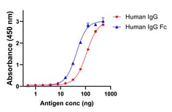 Invitrogen F(ab)-Goat anti-Human IgG Fc Superclonal Secondary Antibody 250 &mu;L | Buy Online | Invitrogen&trade; | Fisher Scientific