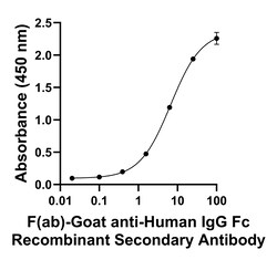 Invitrogen F(ab)-Goat anti-Human IgG Fc Superclonal Secondary Antibody 250 &mu;L | Buy Online | Invitrogen&trade; | Fisher Scientific