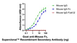 Invitrogen Goat anti-Mouse IgG Fc Superclonal Secondary Antibody 250 &mu;L | Buy Online | Invitrogen&trade; | Fisher Scientific