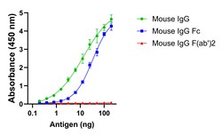 Invitrogen Goat anti-Mouse IgG Fc Superclonal Secondary Antibody 250 &mu;L | Buy Online | Invitrogen&trade; | Fisher Scientific