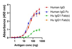 Invitrogen&trade;&nbsp;F(ab)-Goat anti-Human IgG (H+L) Superclonal&trade; Secondary Antibody
