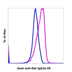 Invitrogen&trade;&nbsp;Goat anti-Rat IgG2a Recombinant Secondary Antibody, PE