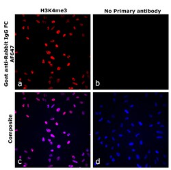 Invitrogen Goat anti-Rabbit IgG Fc Superclonal Secondary Antibody, Alexa Fluor 647 250 &mu;L | Buy Online | Invitrogen&trade; | Fisher Scientific