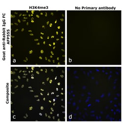 Invitrogen&trade;&nbsp;Goat anti-Rabbit IgG Fc Superclonal&trade; Secondary Antibody, Alexa Fluor&trade; Plus 555