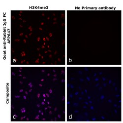 Invitrogen Goat anti-Rabbit IgG Fc Superclonal Secondary Antibody, Alexa Fluor Plus 647 250 &mu;L | Buy Online | Invitrogen&trade; | Fisher Scientific