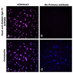 Invitrogen&trade;&nbsp;Goat anti-Rabbit IgG Fc Superclonal&trade; Secondary Antibody, Alexa Fluor&trade; Plus 680