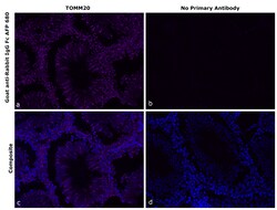 Invitrogen Goat anti-Rabbit IgG Fc Superclonal Secondary Antibody, Alexa Fluor Plus 680 250 &mu;L | Buy Online | Invitrogen&trade; | Fisher Scientific