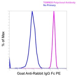 Invitrogen&trade;&nbsp;Goat anti-Rabbit IgG Fc Superclonal&trade; Secondary Antibody, PE