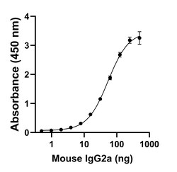 Invitrogen&trade;&nbsp;F(ab)-Goat anti-Mouse IgG2a Recombinant Secondary Antibody