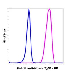 Invitrogen&trade;&nbsp;Rabbit anti-Mouse IgG2a Recombinant Secondary Antibody, PE