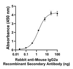 Invitrogen&trade;&nbsp;Rabbit anti-Mouse IgG2a Recombinant Secondary Antibody
