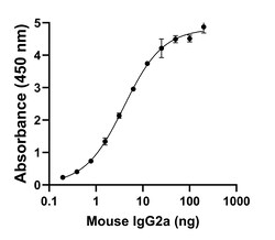 Invitrogen Rabbit anti-Mouse IgG2a Recombinant Secondary Antibody 250 &mu;L;