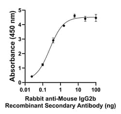 Invitrogen Rabbit anti-Mouse IgG2b Recombinant Secondary Antibody 250 &mu;L;