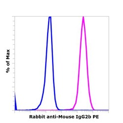 Invitrogen&trade;&nbsp;Rabbit anti-Mouse IgG2b Recombinant Secondary Antibody, PE
