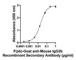 Invitrogen F(ab)-Goat anti-Mouse IgG2b Recombinant Secondary Antibody 250 &mu;L | Buy Online | Invitrogen&trade; | Fisher Scientific