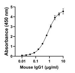 Invitrogen Rabbit anti-Mouse IgG1 Recombinant Secondary Antibody 250 &mu;L | Buy Online | Invitrogen&trade; | Fisher Scientific