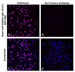 Invitrogen&trade;&nbsp;Goat anti-Rabbit IgG (H+L) Superclonal&trade; Secondary Antibody, Alexa Fluor&trade; Plus 680