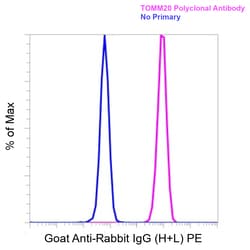 Invitrogen&trade;&nbsp;Goat anti-Rabbit IgG (H+L) Superclonal&trade; Secondary Antibody, PE
