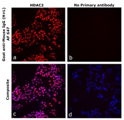 Invitrogen&trade;&nbsp;Goat anti-Mouse IgG (H+L) Superclonal&trade; Secondary Antibody, Alexa Fluor&trade; 647