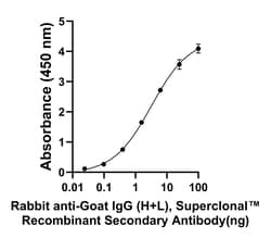 Invitrogen&trade;&nbsp;Rabbit anti-Goat IgG (H+L) Superclonal&trade; Secondary Antibody