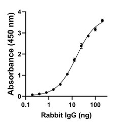 Invitrogen F(ab)-Goat anti-Rabbit IgG Fc Superclonal Secondary Antibody 250 &mu;L | Buy Online | Invitrogen&trade; | Fisher Scientific