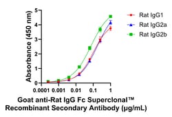 Invitrogen Goat anti-Rat IgG Fc Superclonal Secondary Antibody 250 &mu;L | Buy Online | Invitrogen&trade; | Fisher Scientific
