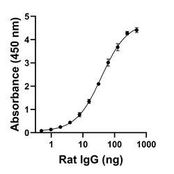 Invitrogen Goat anti-Rat IgG Fc Superclonal Secondary Antibody 250 &mu;L | Buy Online | Invitrogen&trade; | Fisher Scientific