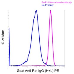 Invitrogen&trade;&nbsp;Goat anti-Rat IgG (H+L) Superclonal&trade; Secondary Antibody, PE