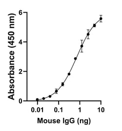 Invitrogen Rabbit anti-Mouse IgG (H+L) Superclonal Secondary Antibody 1