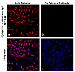 Invitrogen&trade;&nbsp;F(ab)-Goat anti-Mouse IgG1 Superclonal&trade; Secondary Antibody, Alexa Fluor&trade; Plus 647
