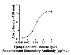 Invitrogen F(ab)-Goat anti-Mouse IgG1 Superclonal Secondary Antibody 250 &mu;L | Buy Online | Invitrogen&trade; | Fisher Scientific