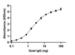 Invitrogen&trade;&nbsp;F(ab)-Rabbit anti-Goat IgG (H+L) Superclonal&trade; Secondary Antibody