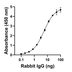 Invitrogen F(ab)-Goat anti-Rabbit IgG (H+L) Superclonal Secondary Antibody 250 &mu;L | Buy Online | Invitrogen&trade; | Fisher Scientific