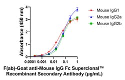 Invitrogen F(ab)-Goat anti-Mouse IgG Fc Superclonal Secondary Antibody 250 &mu;L | Buy Online | Invitrogen&trade; | Fisher Scientific
