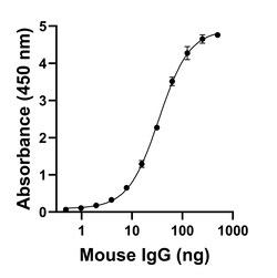 Invitrogen F(ab)-Goat anti-Mouse IgG Fc Superclonal Secondary Antibody 250 &mu;L | Buy Online | Invitrogen&trade; | Fisher Scientific