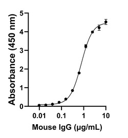 Invitrogen F(ab)-Goat anti-Mouse IgG (H+L) Superclonal Secondary Antibody 250 &mu;L | Buy Online | Invitrogen&trade; | Fisher Scientific