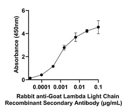 Invitrogen Rabbit anti-Goat Lambda Light chain Recombinant Secondary Antibody 250 &mu;L | Buy Online | Invitrogen&trade; | Fisher Scientific