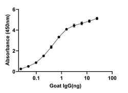 Invitrogen&trade;&nbsp;Rabbit anti-Goat Lambda Light chain Recombinant Secondary Antibody