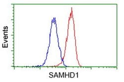 SAMHD1 Mouse anti-Human, Clone: OTI3G6, lyophilized, TrueMAB 100 &mu;g;
