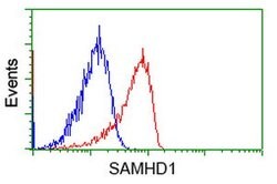 SAMHD1 Mouse anti-Human, Clone: OTI3G6, lyophilized, TrueMAB 100 &mu;g;