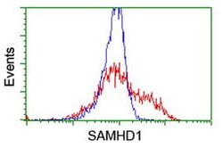SAMHD1 Mouse anti-Canine, Human, Mouse, Rat, Clone: OTI1A1, liquid, TrueMAB 30 &mu;L | Buy Online | OriGene | Fisher Scientific